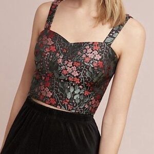 Hutch Anthropologie Embroidered Floral Corset Crop Top Size 12